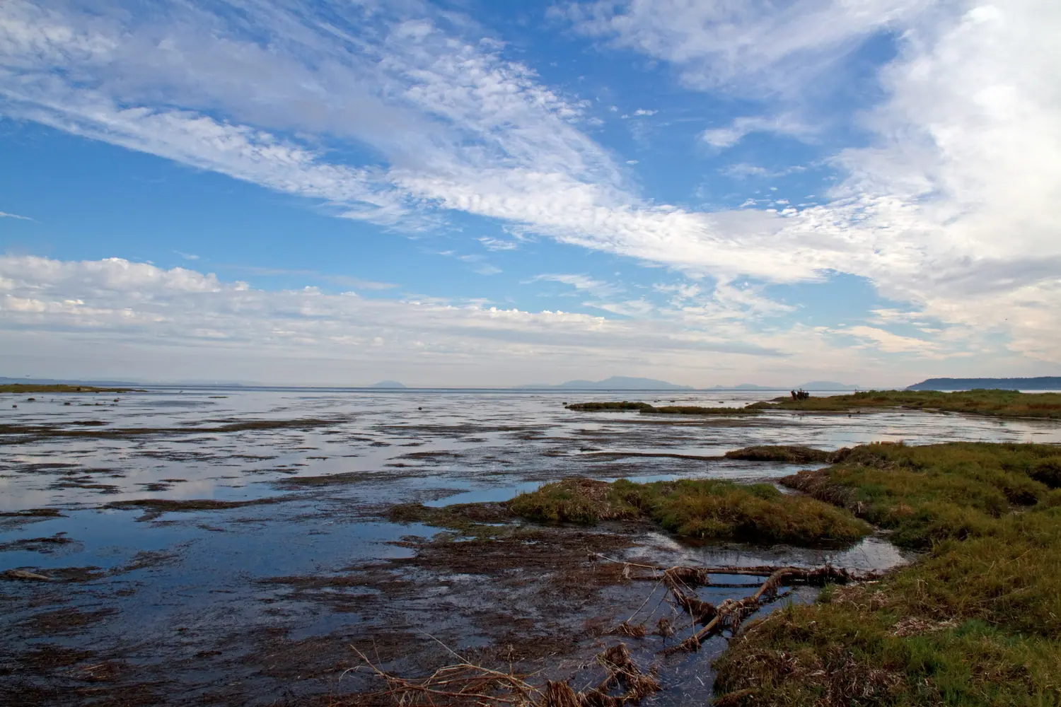 View of Delta and its surrounding area in British Columbia