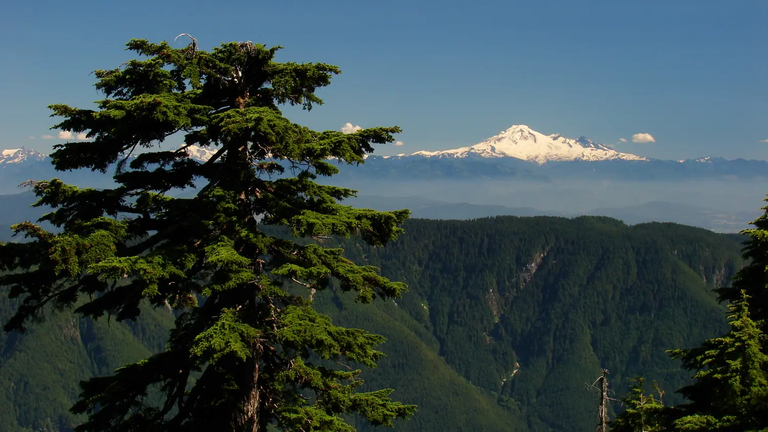 View of Maple Ridge and its surrounding area in British Columbia